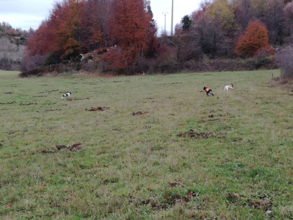 Sortie chasse
